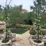 vrt mljet9