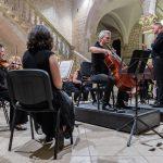dso album vedran levi 7