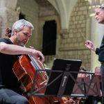dso album vedran levi 8