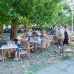 knjige pod stablima 06072024 vlevi 0549
