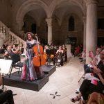 koncert 6