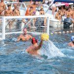 divlja liga 2024 porto utakmica za trece mjesto bellevue kokoti 13