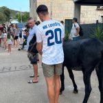 festa loviste 25