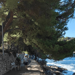Cavtat 10