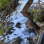 Cavtat 18