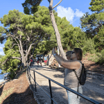 Cavtat 3