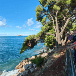Cavtat 6