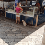 Stradun 1.9. 6