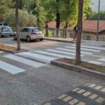 montovjerna zebra 3