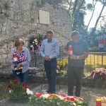 daksa vijenci 9