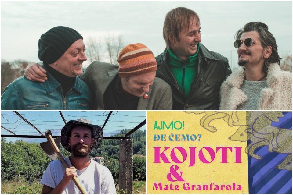 kojoti mate granfarola