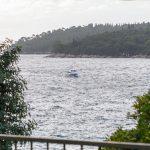 ploce parking zelenski 12