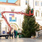 blagdani ukrasavanje kucice 11