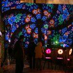 lumiart