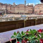 toscana 5