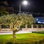 bozicne dekoracije lampice grad zimski festival 3