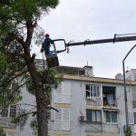bulevar anketa 7