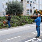 bulevar anketa 8