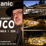 vuco kolaz