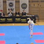 Taekwon do klub Shark 5