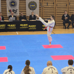 Taekwon do klub Shark 8