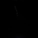 starlink elon musk sateliti 2