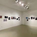 galerija flora sjecanje na lola 2
