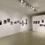 galerija flora sjecanje na lola 5