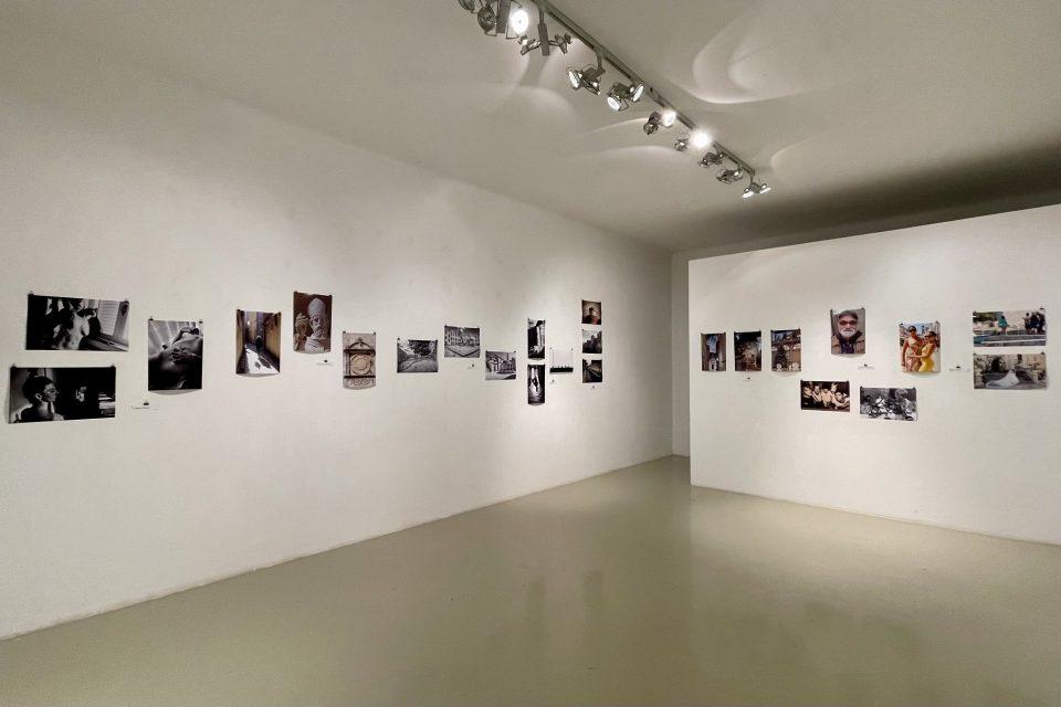 galerija flora sjecanje na lola 5