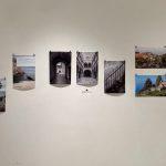 galerija flora sjecanje na lola 6