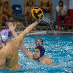 jug vs crvena zvezda 11