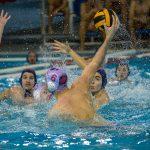 jug vs crvena zvezda 8