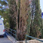 policija evakuacija skole 1