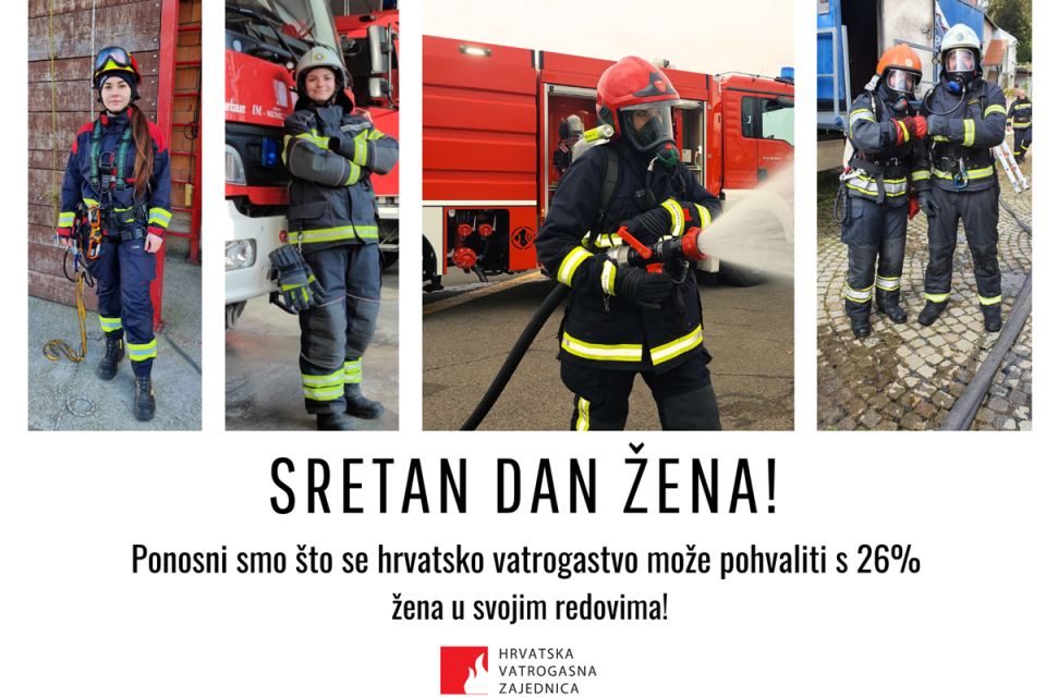 dan zena cestitka