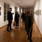 galerija vanista 19