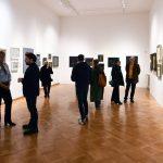 galerija vanista 24