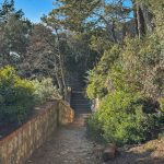 park gradac 10