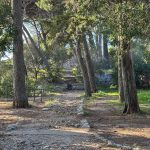park gradac 15