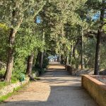 park gradac 21