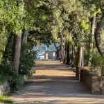 park gradac 22