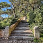 park gradac 25