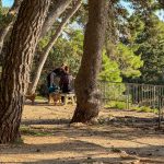 park gradac 28