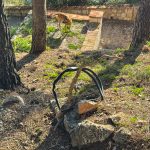 park gradac 4