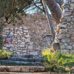 park gradac 6