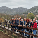 rotarty klub sadnice maslina 15