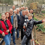 rotarty klub sadnice maslina 16