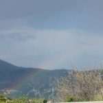 IMG 20250410 WA0004