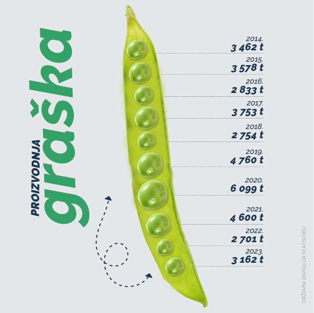 dzs proizvodnja graska