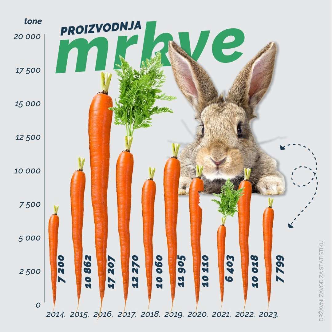 dzs proizvodnja mrkve