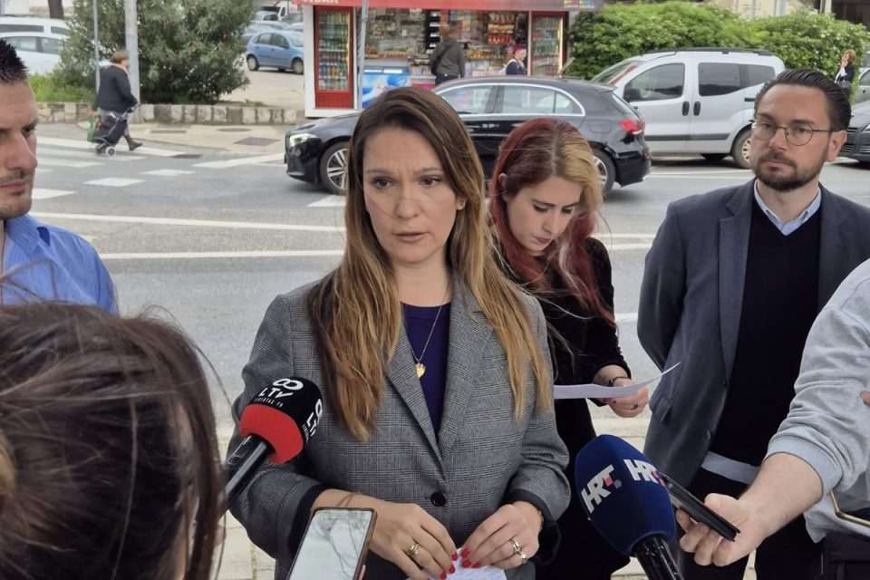 koalicija slobodno anita bonacic obradovic